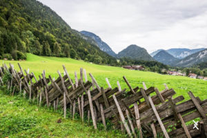 Leia mais sobre o artigo 5 Coisas que você nunca ouviu falar sobre Cercas