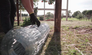 Leia mais sobre o artigo Como fazer Cerca para Ovinos com Tela e Catracas