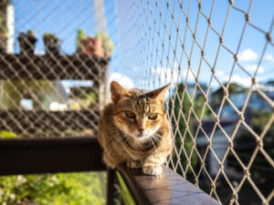 Leia mais sobre o artigo Telas Protetoras para Varandas e Sacadas: Prevenindo Acidentes e Quedas em Altura