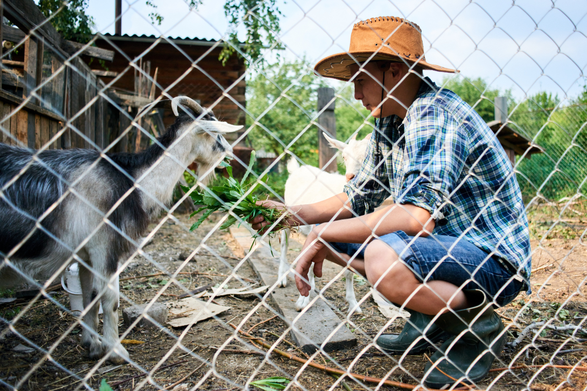 Leia mais sobre o artigo Cercamento rural: como escolher a melhor cerca para cada atividade no campo